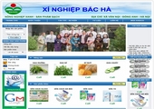 Thiết kế website giá rẻ : BACHAHADICO.VN