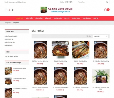 Thiết kế web giá rẻ cakhoduongtran.vn