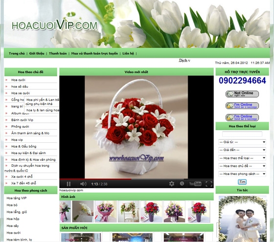 Thiết kế website: HOACUOIVIP.COM