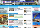 Thiết kế web site: DIENMOI.HANOI.VN