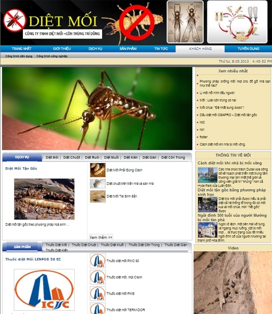 Thiết kế web giá rẻ công ty TNHH diệt mối và côn trùng Trí Dũng