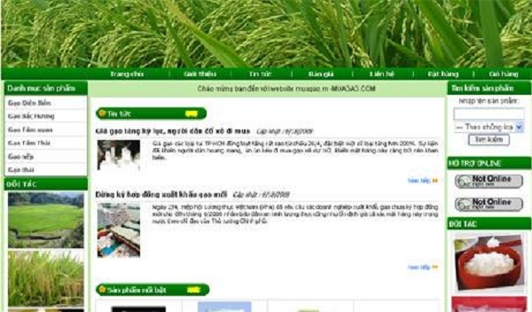 Thiết kế web giá rẻ gạo quê